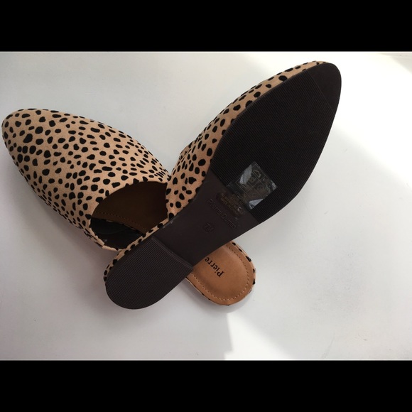 Cheetah Mule - Picture 3 of 3